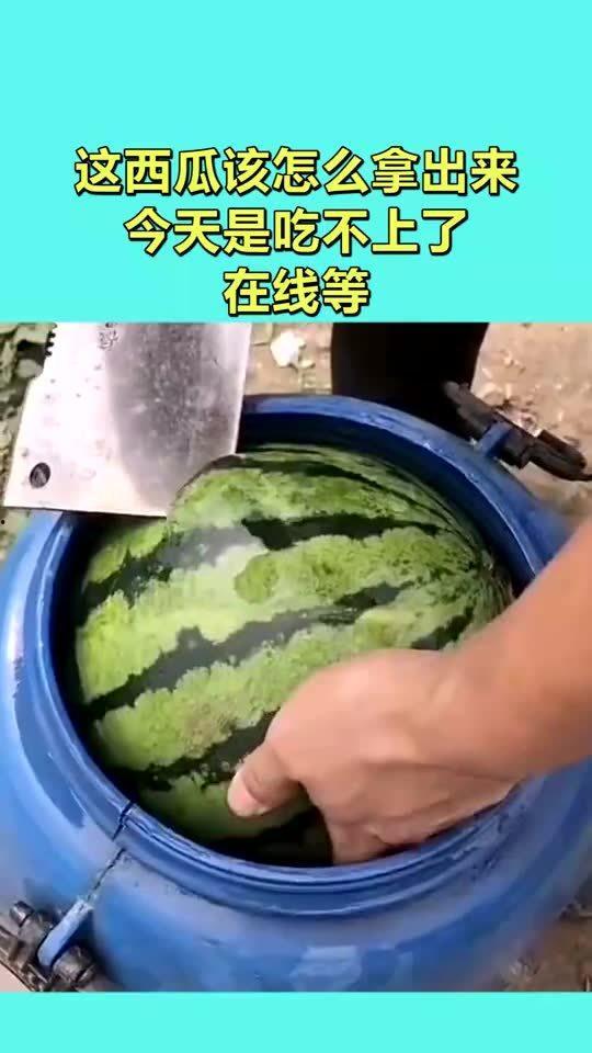 今日吃瓜在线高清,高清揭秘娱乐圈最新热点