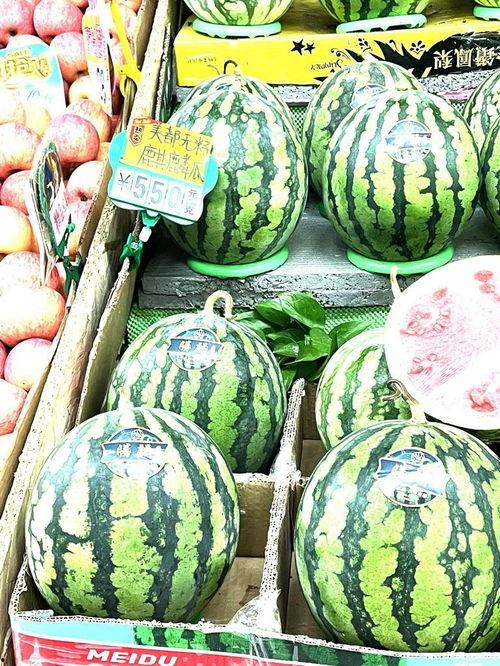 厦门麒麟瓜今日价格,价格行情一览”