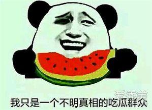朝阳吃瓜群众今日吃瓜宋体,宋体字体背后的文化故事