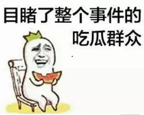 朝阳吃瓜群众今日吃瓜宋体,宋体字体背后的文化故事