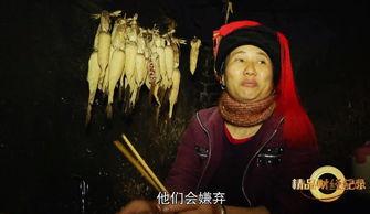 大飨宴在线观看,一场跨越千年的美食盛宴在线观看攻略