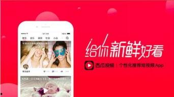 今日头条棉瓜直播,带你领略直播新风尚，尽享互动乐趣