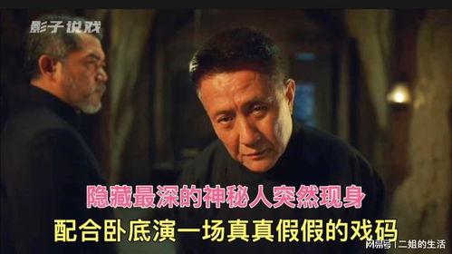 真假卧底在线观看,揭秘卧底风云，在线观看探秘警界传奇