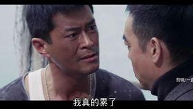 真假卧底在线观看,揭秘卧底风云，在线观看探秘警界传奇