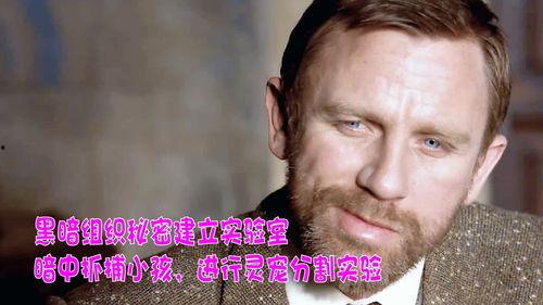 灵宠实验室在线观看,揭秘神秘生物的奇幻之旅