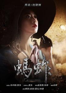 蚂蚱 电视剧在线观看,揭秘民国风云，再现传奇人生