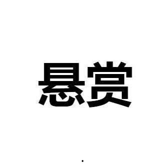 悬赏在线观看国语,在线观看国语，揭秘神秘悬赏背后的惊险故事