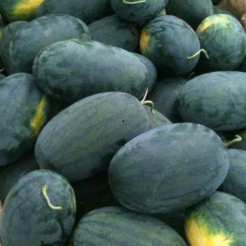 商河吃瓜黑料事件视频,视频揭露惊人真相