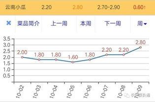 今日小瓜价格最新行情,最新行情解析与市场趋势洞察”