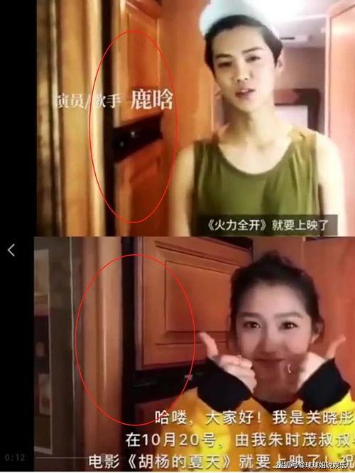 中同网在线观看视频,精彩内容一网打尽