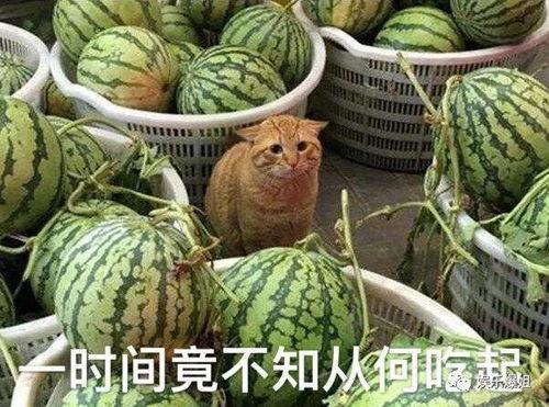 黑吃瓜爆料,揭秘娱乐圈背后的惊人真相