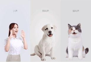 dl黑仔吃瓜,揭秘娱乐圈幕后真相