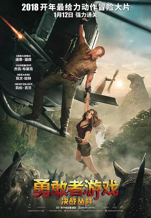 勇敢者在线观看,探索未知世界的冒险之旅