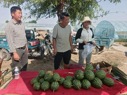 今日万邦小吊瓜价格,品质瓜果，价格走俏”
