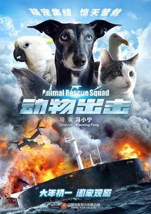 急速出击在线观看,惊险刺激的极限挑战之旅