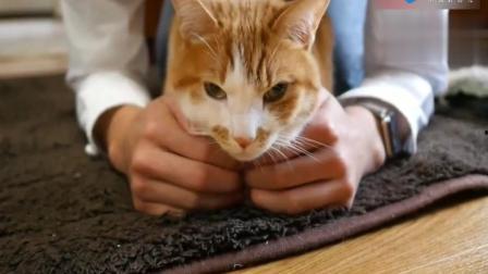 猫猫影视在线观看,畅享海量影视资源，轻松观影新体验