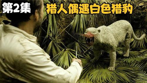 原始恐惧电影在线观看,在线惊悚之旅，揭秘未知恐怖