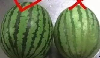 吃瓜今日吃瓜汇总