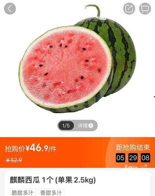建水今日小瓜价格查询