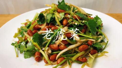 今日吃瓜51老虎菜98,揭秘老虎菜与51瓜子的神秘邂逅