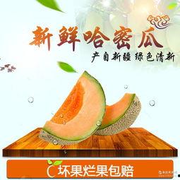 今日新疆哈密瓜行情如何