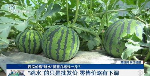 今日苏瓜价格最新行情,今日行情一览