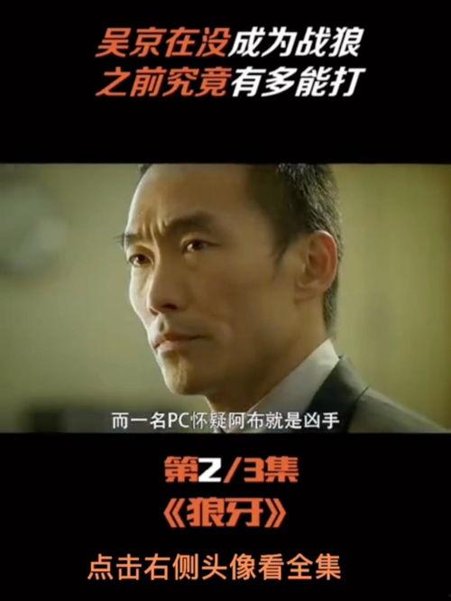 狼牙2在线观看,巅峰对决，忠诚至上！
