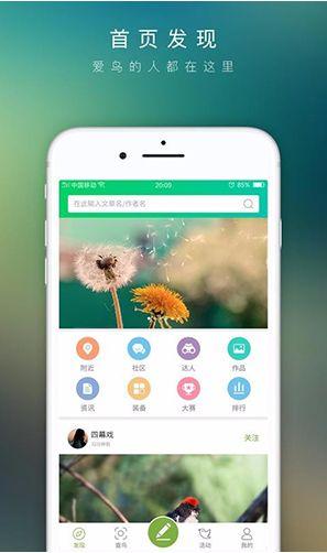 爱鸟在线观看,一场关于自然与生命的视觉盛宴