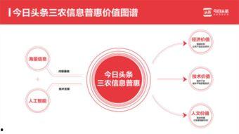 河北铺瓜最新消息今日头条,今日头条揭秘瓜农丰收背后的故事”