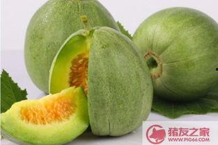 黑脆瓜可以吃吗