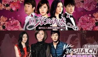 在线观看48,不容错过的精彩瞬间