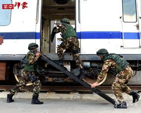 东方突鹰国语在线观看,国语版在线观看，领略东方神秘力量