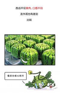 吃瓜黑历史正能量图片高清,高清黑历史图片背后的感人故事