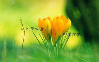 吃瓜黑历史正能量图片高清,高清黑历史图片背后的感人故事
