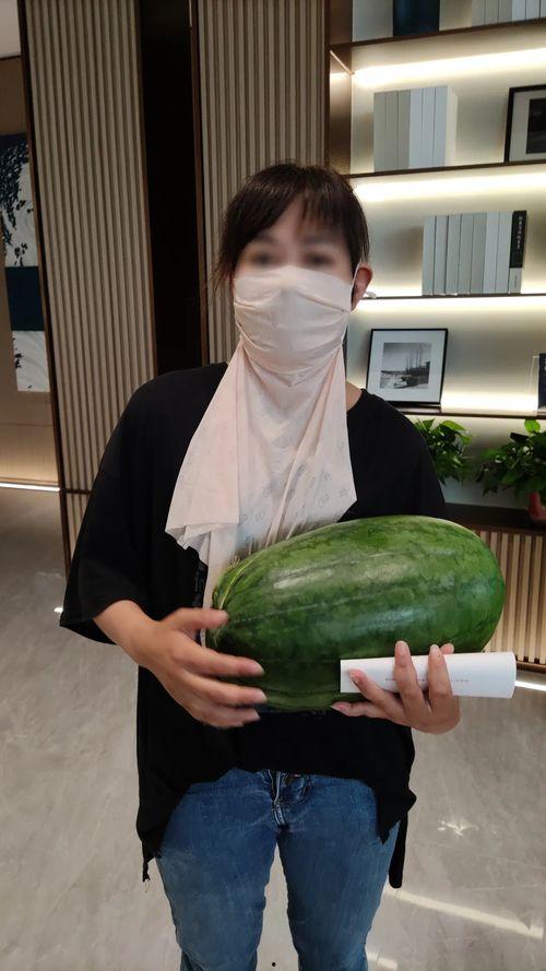 今日大瓜网,揭秘娱乐圈最新热点，带你领略明星幕后故事