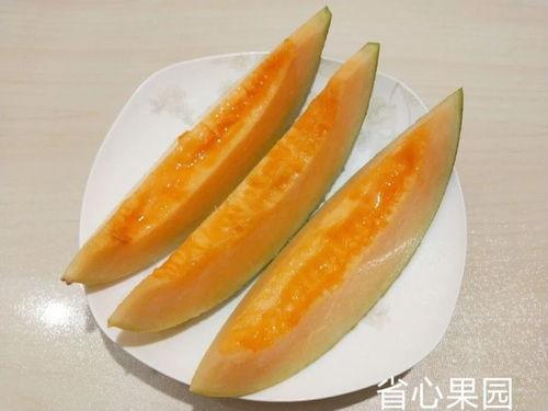今日份的哈密瓜超级甜,今日哈密瓜，甜度爆表，尽享甘醇滋味