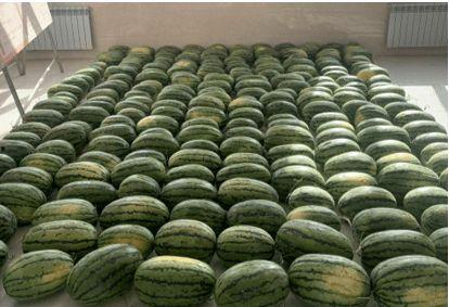 西安今日吃瓜新闻