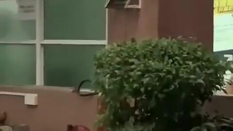 西安今日吃瓜新闻