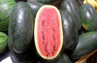 黑料吃黑瓜网被抓,揭秘网络黑灰产业链的覆灭时刻