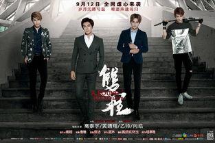 双程网络剧全集在线观看,穿越时空的浪漫之旅