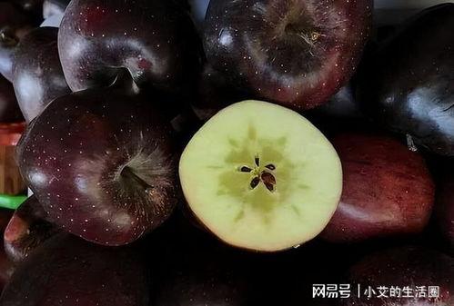 黑料吃黑瓜网怎么进苹果,苹果生成黑科技，轻松解锁神秘世界