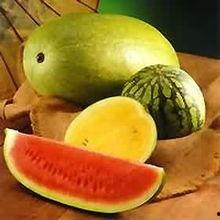 今日吃瓜三大禁忌,避免踩雷，轻松享受娱乐时光