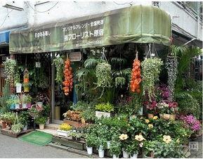 今日吃瓜51唐山花店,探寻花艺之美，共赴浪漫之约