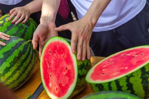 今日吃瓜留学生,今日吃瓜事件揭秘