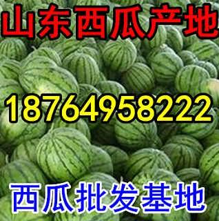 西安今日瓜价,夏日炎炎，瓜果飘香，价格行情一览