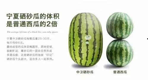 宁夏硒砂瓜今日最新报价,今日最新报价揭晓，品质与价格齐飞！”