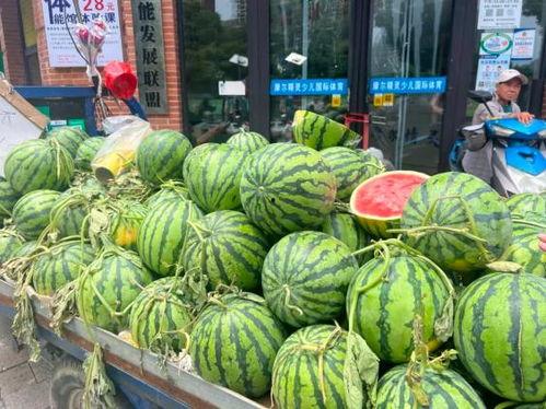 水果吊瓜今日价格表图片,市场行情实时更新