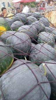 太康今日瓜价,今日瓜价行情一览