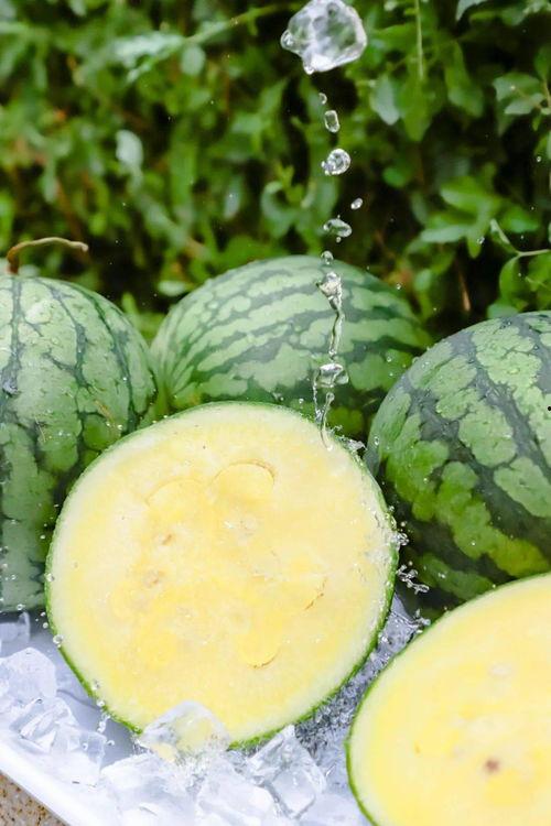 黑瓜吃料正能量官网今日