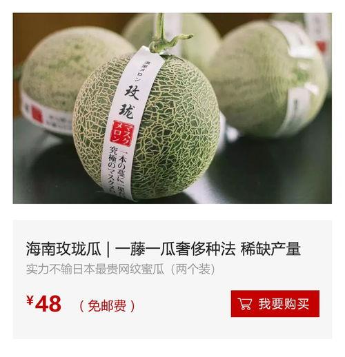 海南今日毛瓜价格行情,波动中寻稳